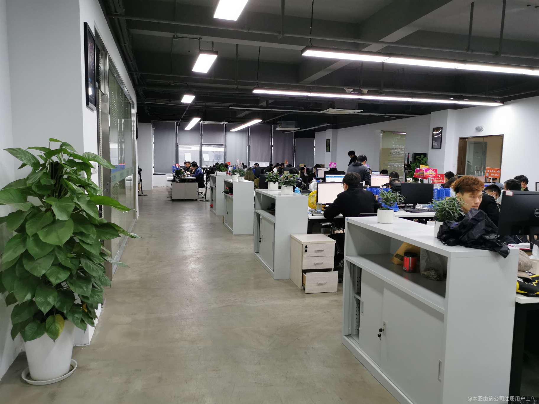 杭州点燃网络科技
